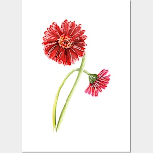 Red gerberas Posters and Art